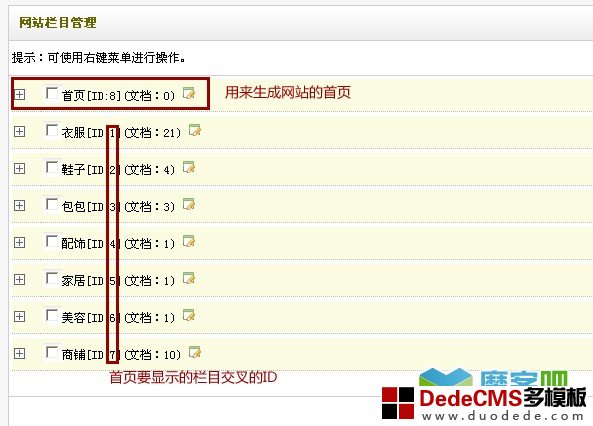 建立后台栏目